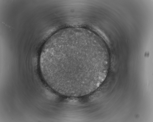 X0000094060113200711091137