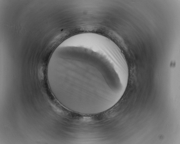 X0000094060114200711091137