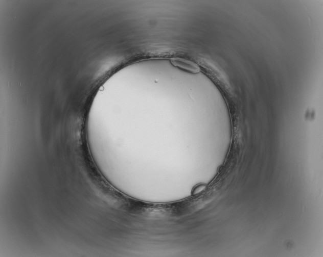 X0000094060115200711091137