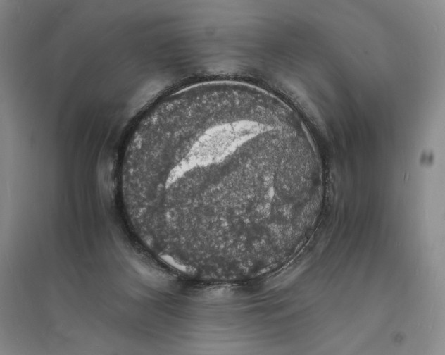 X0000094060116200711091137