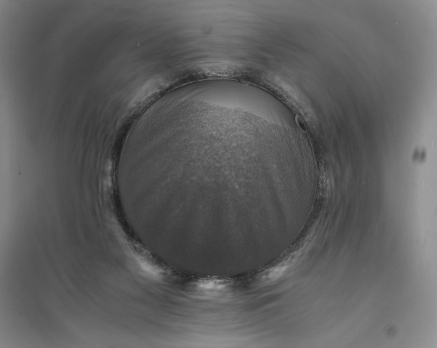 X0000094060117200711091137