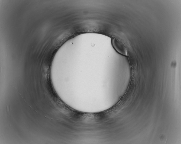 X0000094060123200711091137