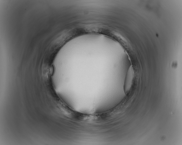 X0000094060125200711091137