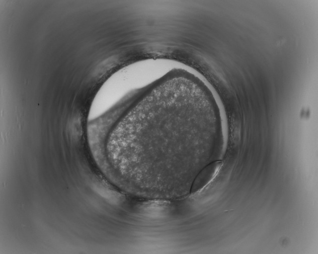 X0000094060128200711091137