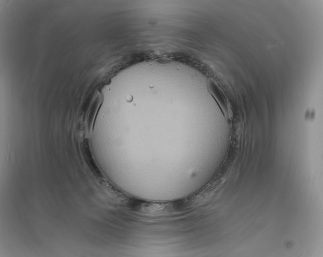 X0000094060129200711091137