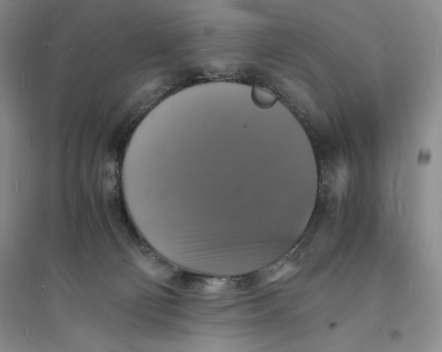 X0000094060130200711091137