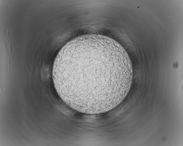 X0000094060131200711091137