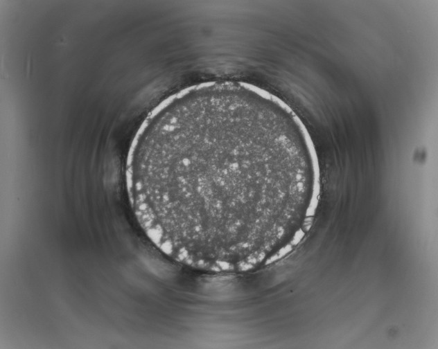 X0000094060132200711091137