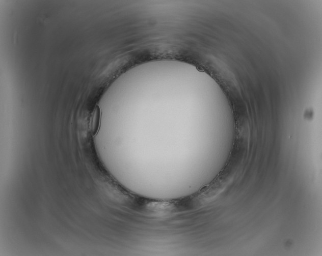 X0000094060133200711091137