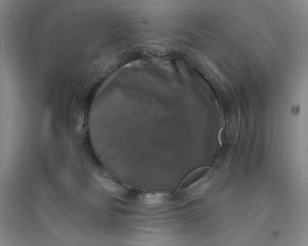 X0000094060134200711091137