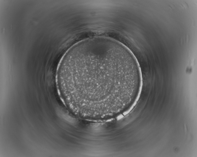 X0000094060136200711091137