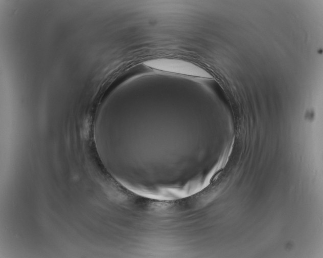 X0000094060139200711091137