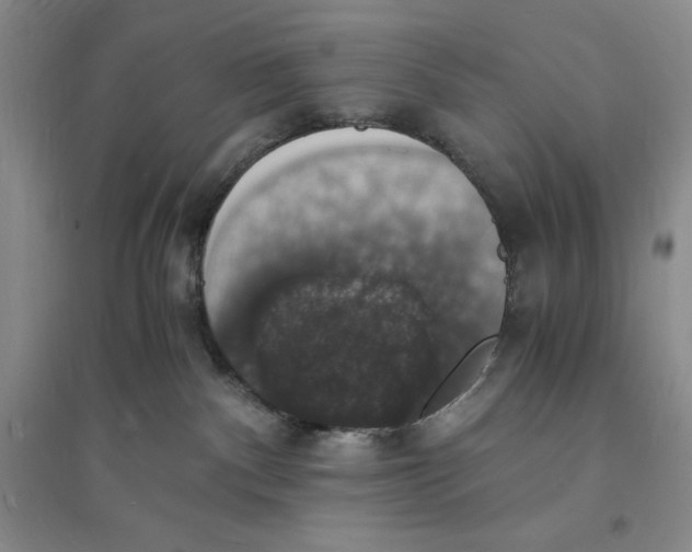 X0000094060140200711091137