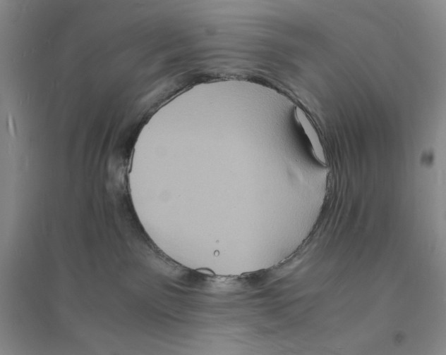 X0000094060141200711091137