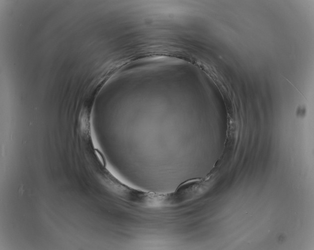 X0000094060143200711091137