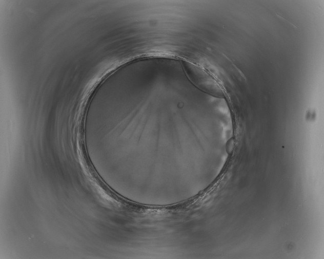 X0000094060145200711091136