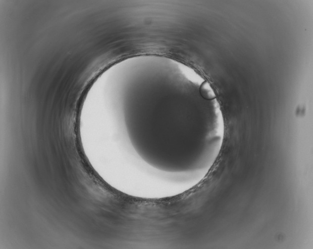 X0000094060146200711091136