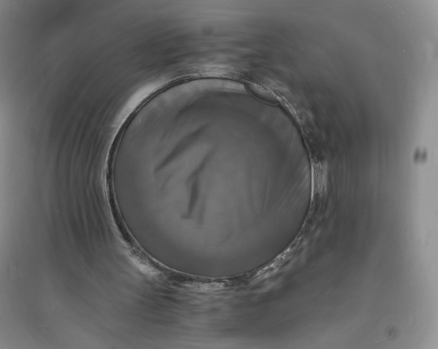 X0000094060147200711091136