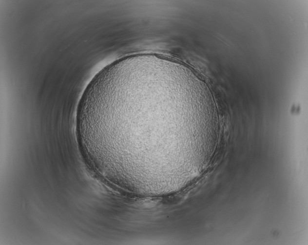 X0000094060148200711091136