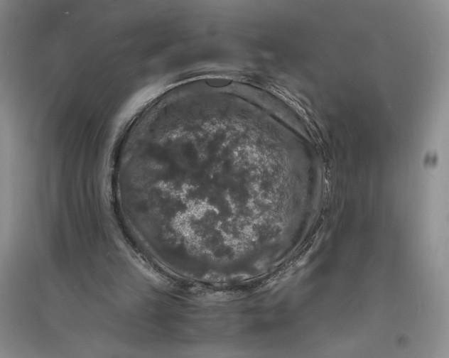 X0000094060149200711091136