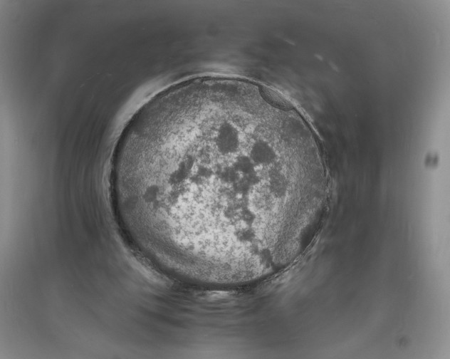 X0000094060151200711091136