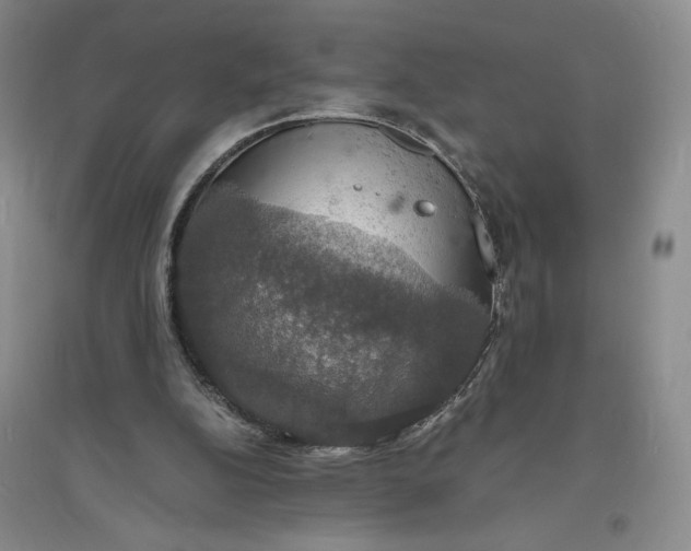 X0000094060152200711091136