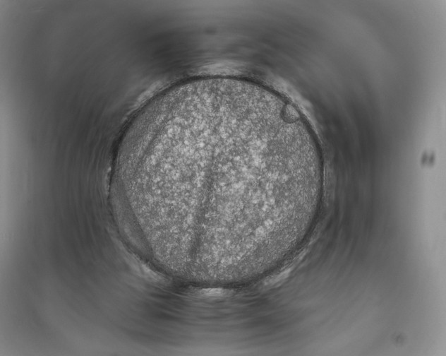 X0000094060153200711091136