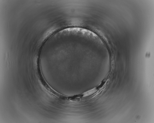 X0000094060154200711091136