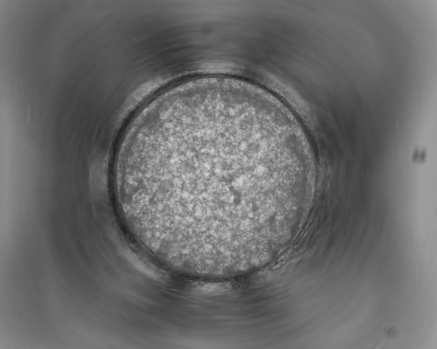 X0000094060155200711091136