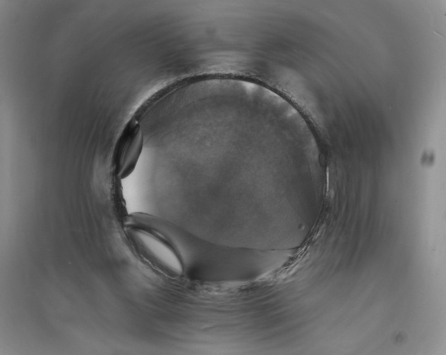 X0000094060156200711091136