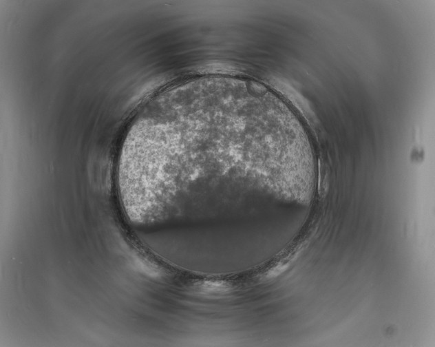 X0000094060157200711091136