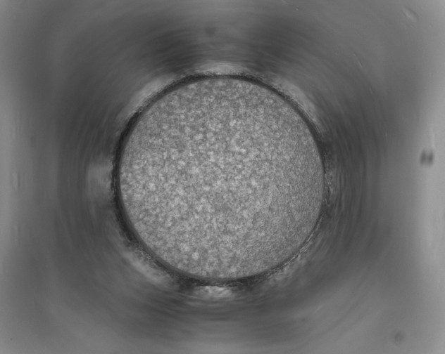 X0000094060159200711091136