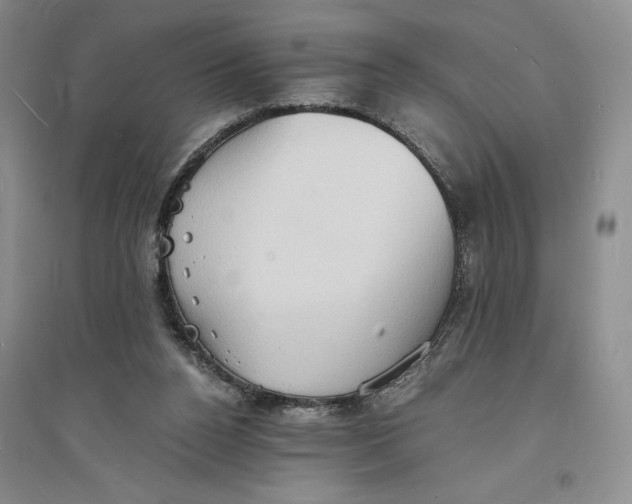 X0000094060160200711091136