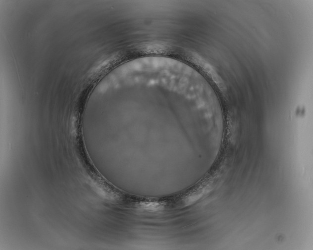 X0000094060161200711091136