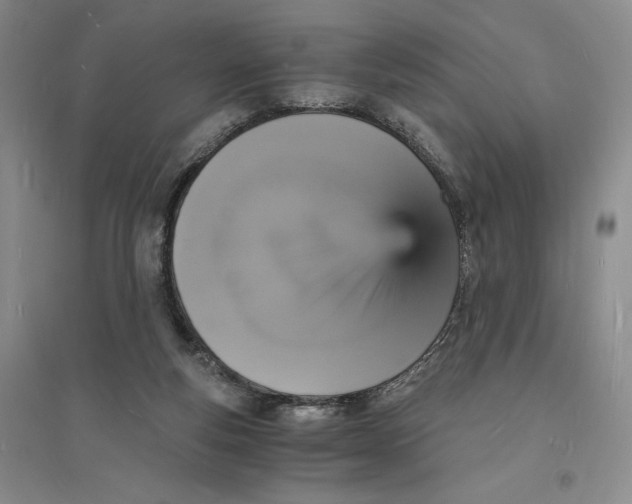 X0000094060163200711091137