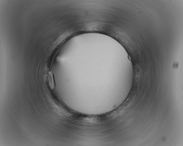 X0000094060164200711091137