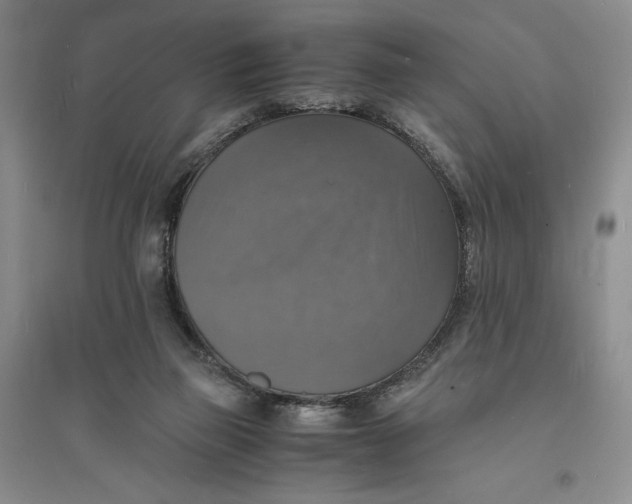 X0000094060165200711091137