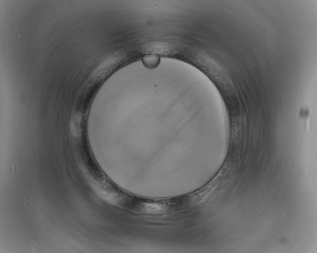 X0000094060167200711091137