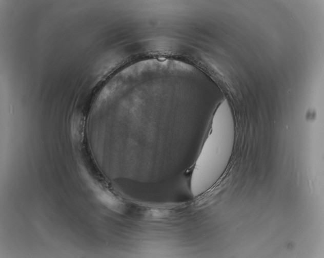 X0000094060168200711091137