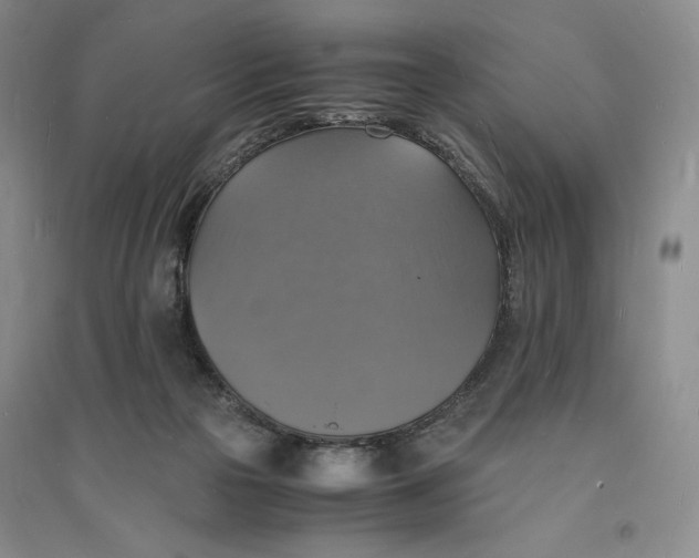 X0000094060169200711091137