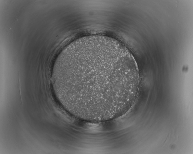 X0000094060170200711091137