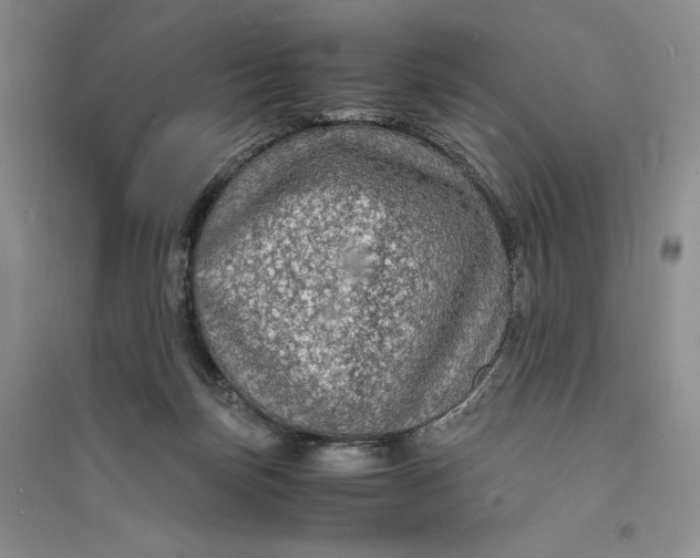 X0000094060171200711091137