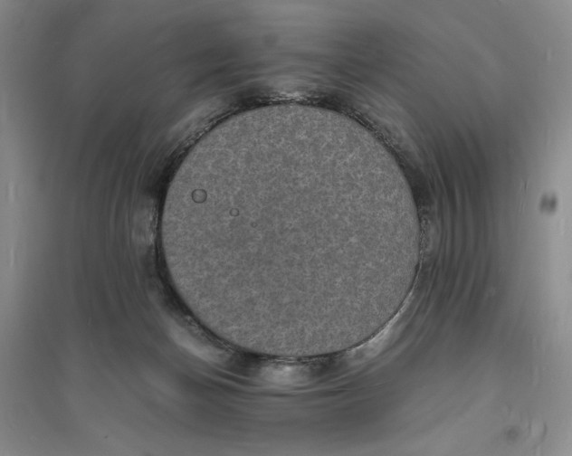 X0000094060174200711091137