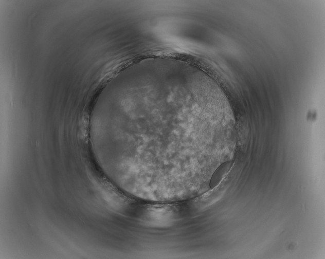 X0000094060175200711091137