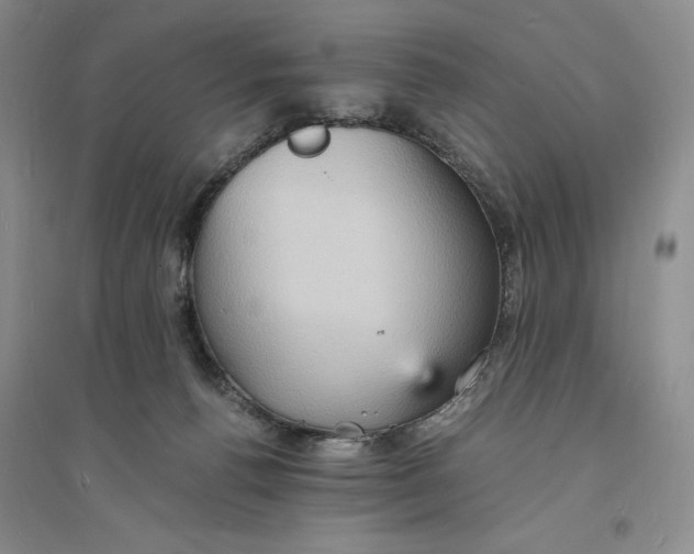 X0000094060176200711091137