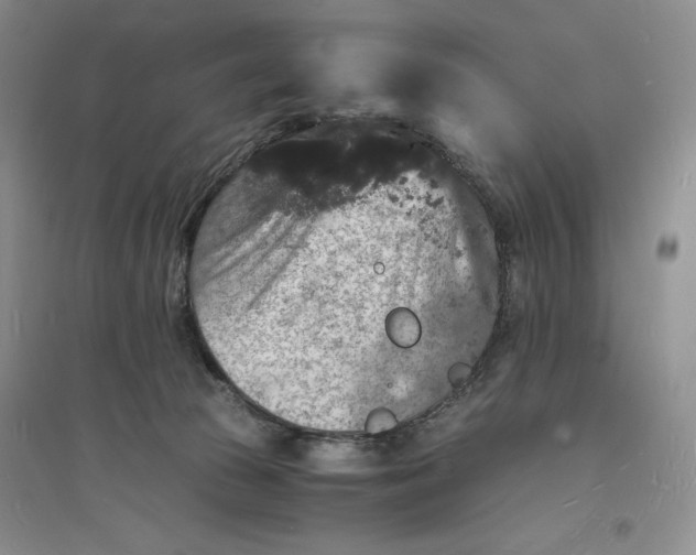 X0000094060177200711091137