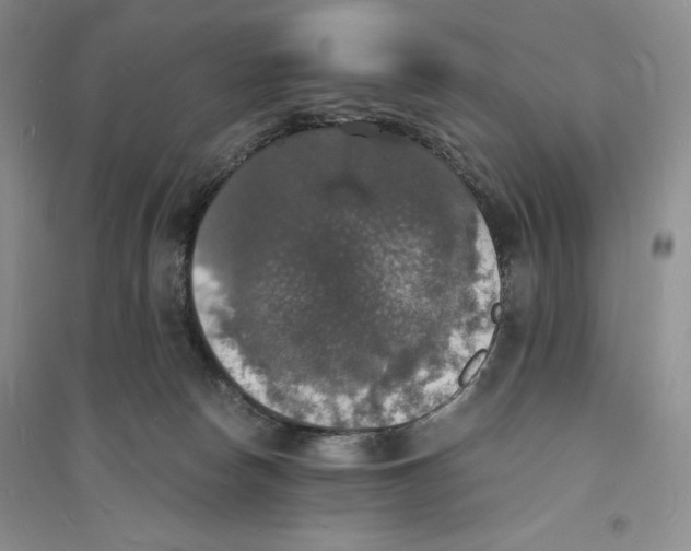 X0000094060178200711091137