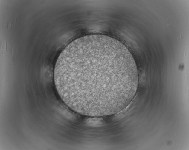 X0000094060179200711091137