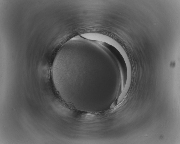 X0000094060180200711091137