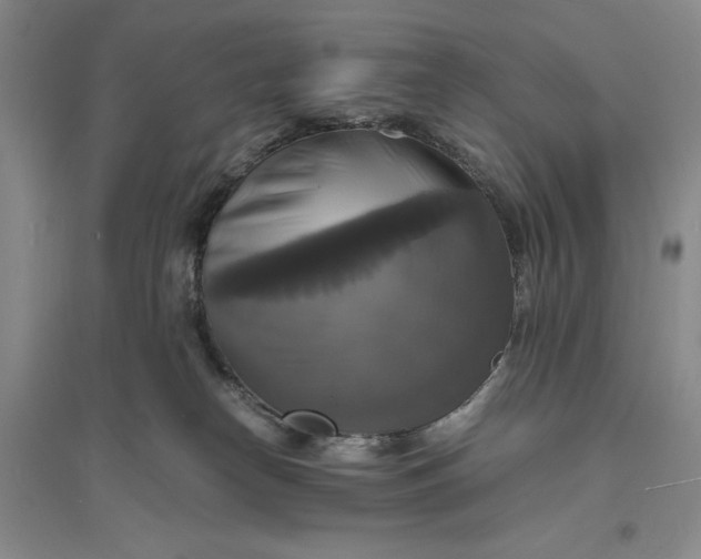 X0000094060182200711091137